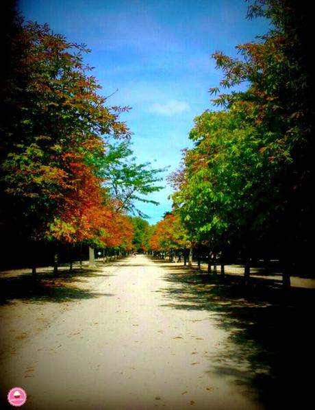 Hábitos saludables para cerrar la puerta a la gripe