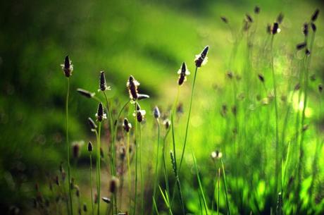 Hábitos saludables para cerrar la puerta a la gripe