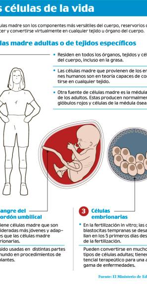 infografia