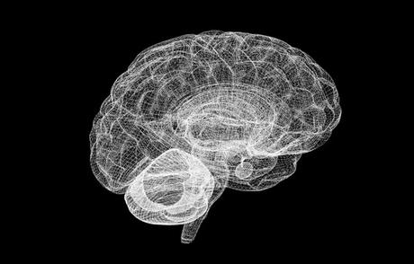 Estudio del cerebro en el proyecto interdisciplinario europeo 'The Human Brain Project'.