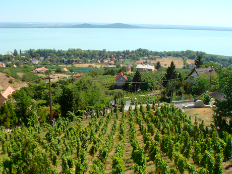 Vuelta en bicicleta al lago Balaton (II)