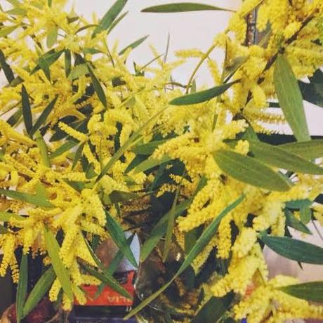 PROPOSITOS DE LA SEMANA #9