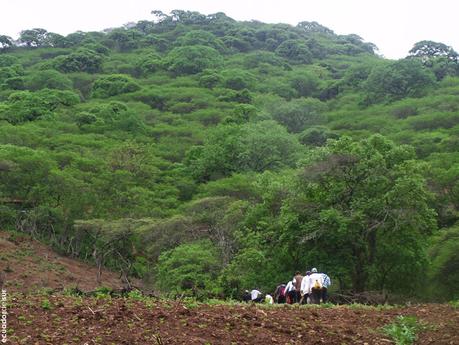 Bramaderos, una mañana subiendo cerros