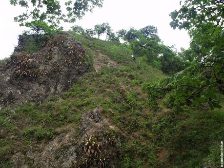 Bramaderos, una mañana subiendo cerros