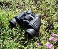 sueño con prismáticos