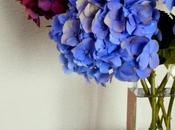 hortensias