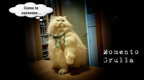 estamos tan agustito