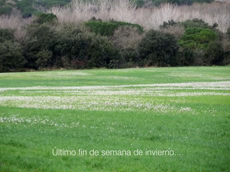 finde2