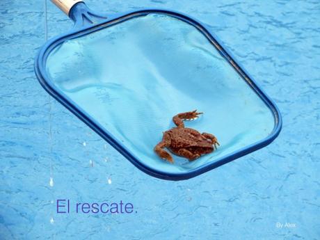 sapo3