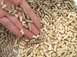 hand and bi-coloured wood pellets