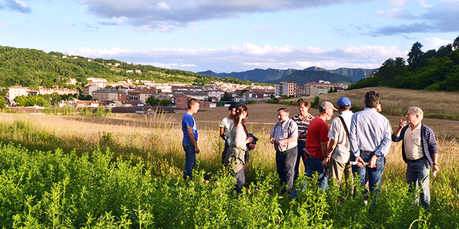 Urbanismo en beta permanente*
