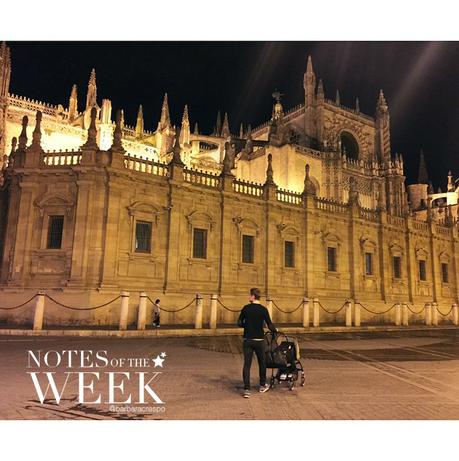 notes of the week barbara crespo tumblr social media instagram youtube instavideo facebook twitter