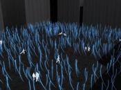 Bacterias algas bioluminiscentes para iluminación señalización