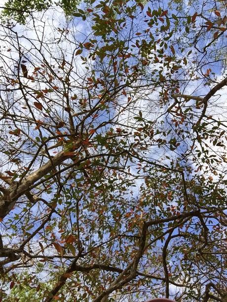 Paseo por el Parque: Parque Omar