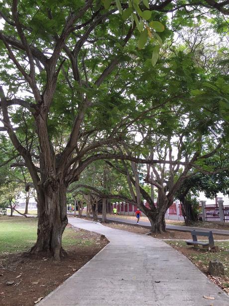 Paseo por el Parque: Parque Omar