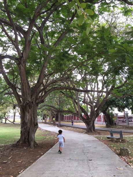 Paseo por el Parque: Parque Omar