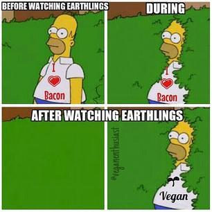 Por qué soy vegetariana Por qué soy vegetariana