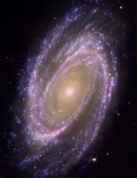 M81 el diseño perfecto de una gran galaxia