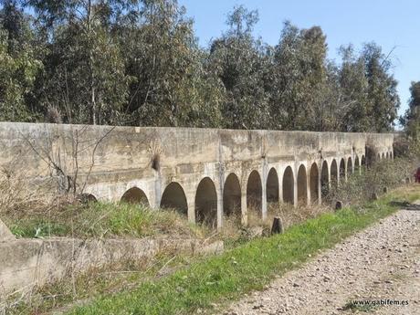 Valdelacalzada en Flor 2015