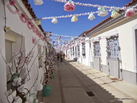Valdelacalzada en Flor 2015