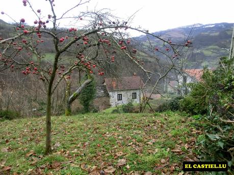 Cul.ladiel.la (Navaliegu)-Rebollu-Grandes