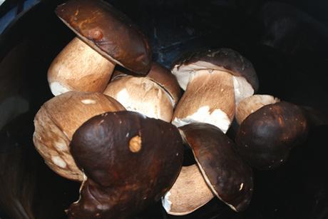 SALSA DE HONGO NEGRO (BOLETUS)