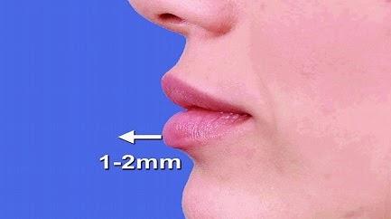 CÓMO CONSEGUIR EL LABIO PERFECTO