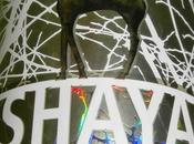 Shaya Verdejo 2013, Bodegas