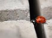 Cómo enfrentarse miedo hablar público