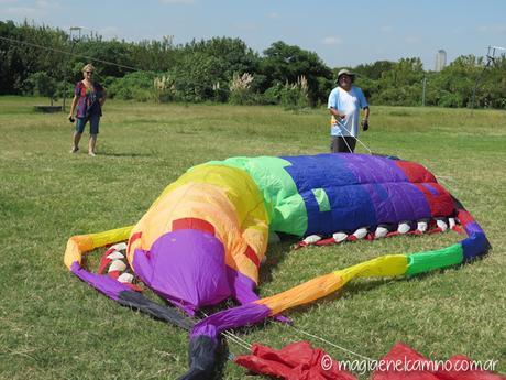 “Sin viento no hay paraíso” (Una mañana con barriletes en Buenos Aires) IMG_0052