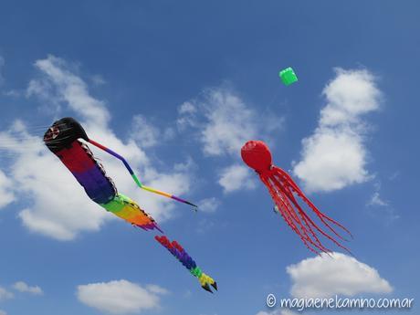 “Sin viento no hay paraíso” (Una mañana con barriletes en Buenos Aires) IMG_0078