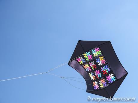 “Sin viento no hay paraíso” (Una mañana con barriletes en Buenos Aires) IMG_0022