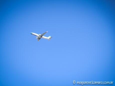 “Sin viento no hay paraíso” (Una mañana con barriletes en Buenos Aires) IMG_0016