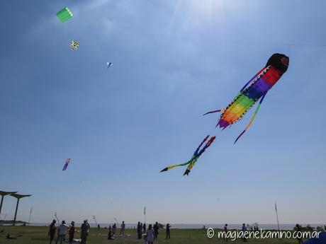 “Sin viento no hay paraíso” (Una mañana con barriletes en Buenos Aires) IMG_0045