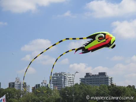 “Sin viento no hay paraíso” (Una mañana con barriletes en Buenos Aires) IMG_0060