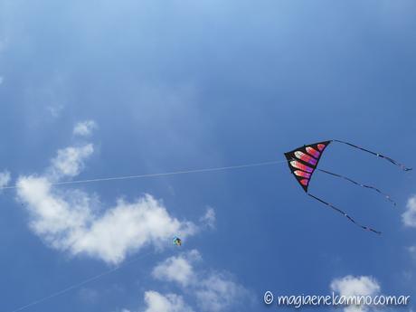 “Sin viento no hay paraíso” (Una mañana con barriletes en Buenos Aires) IMG_0058