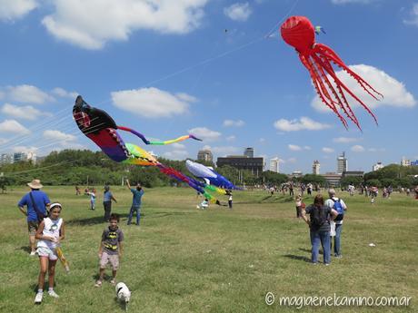“Sin viento no hay paraíso” (Una mañana con barriletes en Buenos Aires) IMG_0081