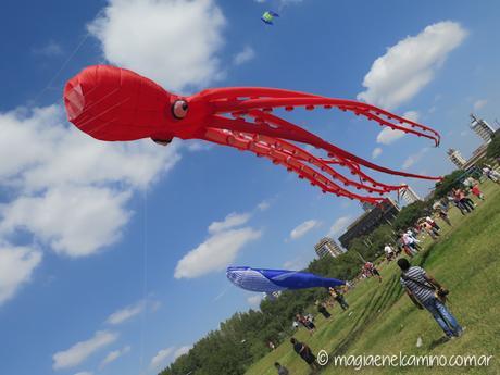 “Sin viento no hay paraíso” (Una mañana con barriletes en Buenos Aires) IMG_0073
