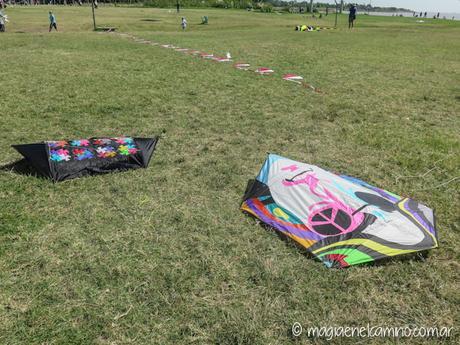 “Sin viento no hay paraíso” (Una mañana con barriletes en Buenos Aires) IMG_0008