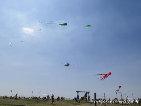 “Sin viento no hay paraíso” (Una mañana con barriletes en Buenos Aires) barriletes