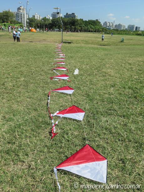 “Sin viento no hay paraíso” (Una mañana con barriletes en Buenos Aires) IMG_0012