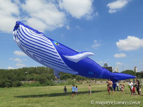 “Sin viento no hay paraíso” (Una mañana con barriletes en Buenos Aires) IMG_0068