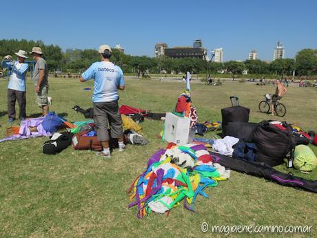 “Sin viento no hay paraíso” (Una mañana con barriletes en Buenos Aires) IMG_0037