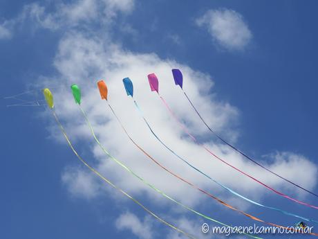 “Sin viento no hay paraíso” (Una mañana con barriletes en Buenos Aires) IMG_0062