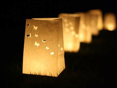 Iluminando el camino