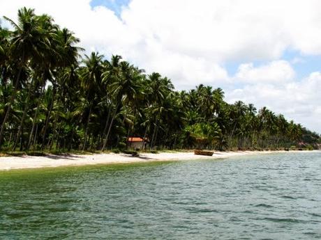 Playa dos Carneiros. Recife. Pernambuco