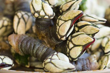 Percebes cocidos