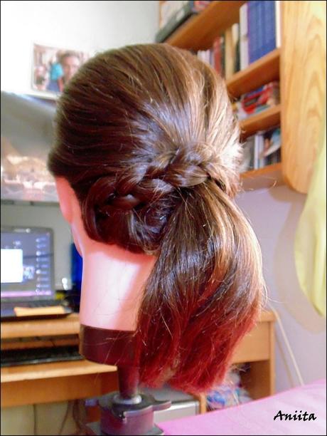 Peinados Sencillos #1.