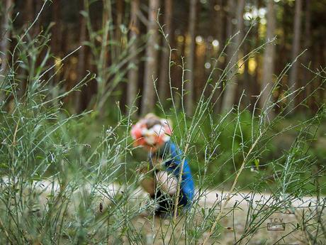 Diariodecospring, diy corona de flores multiusos