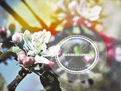 Diariodecospring, diy corona de flores multiusos